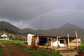 Image 15